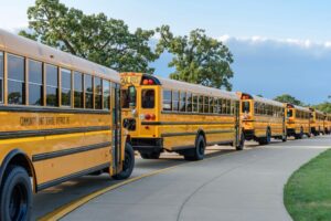 Line of school buses