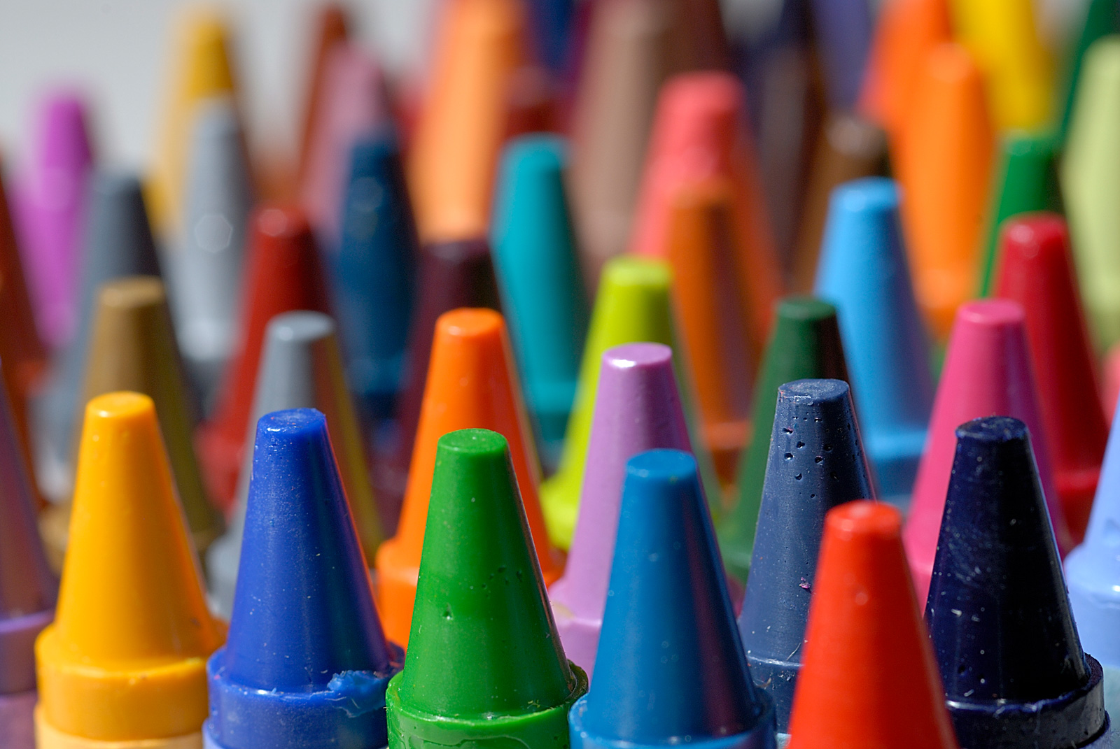 Neat rows of crayons