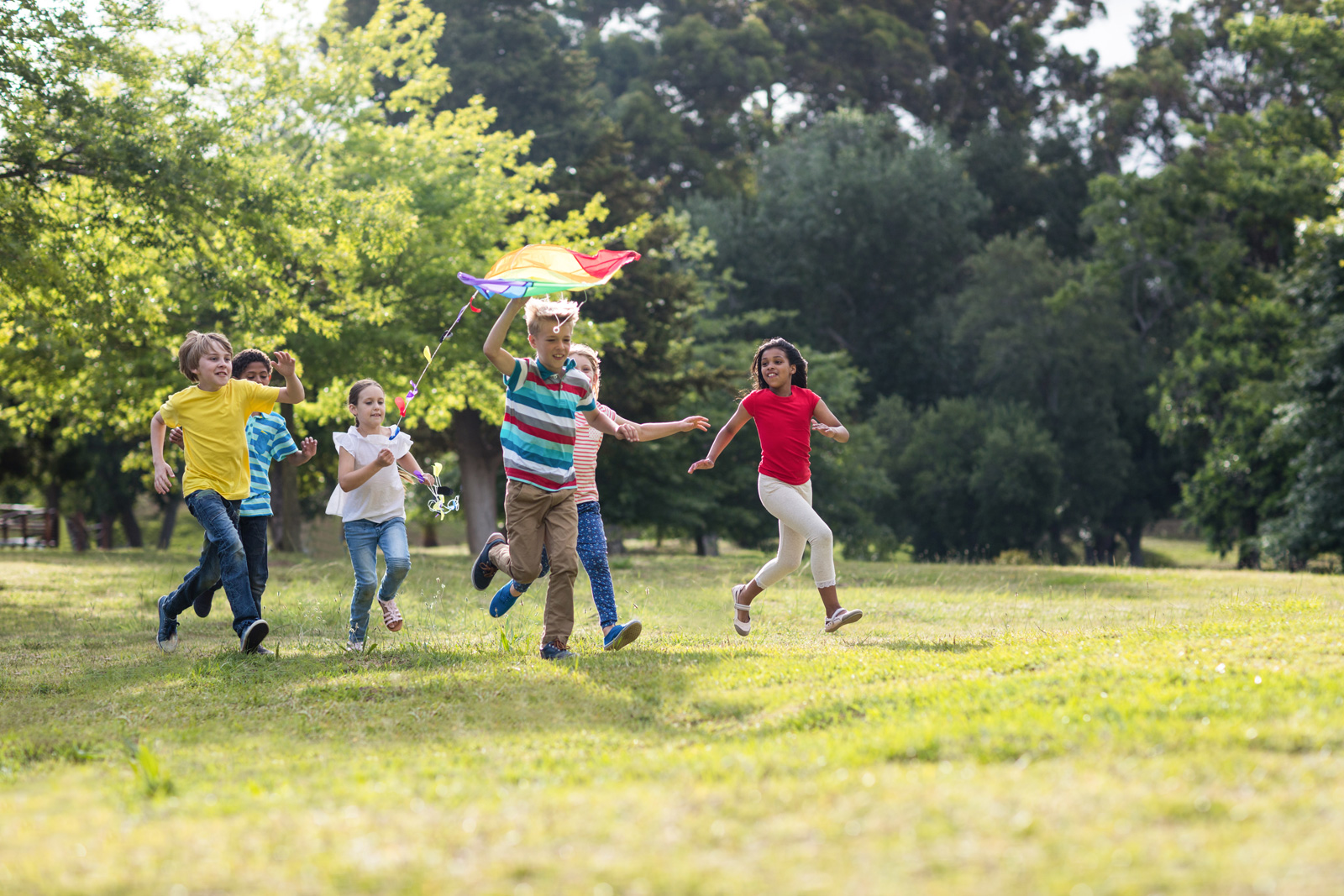 Kids fly a kite in the spring