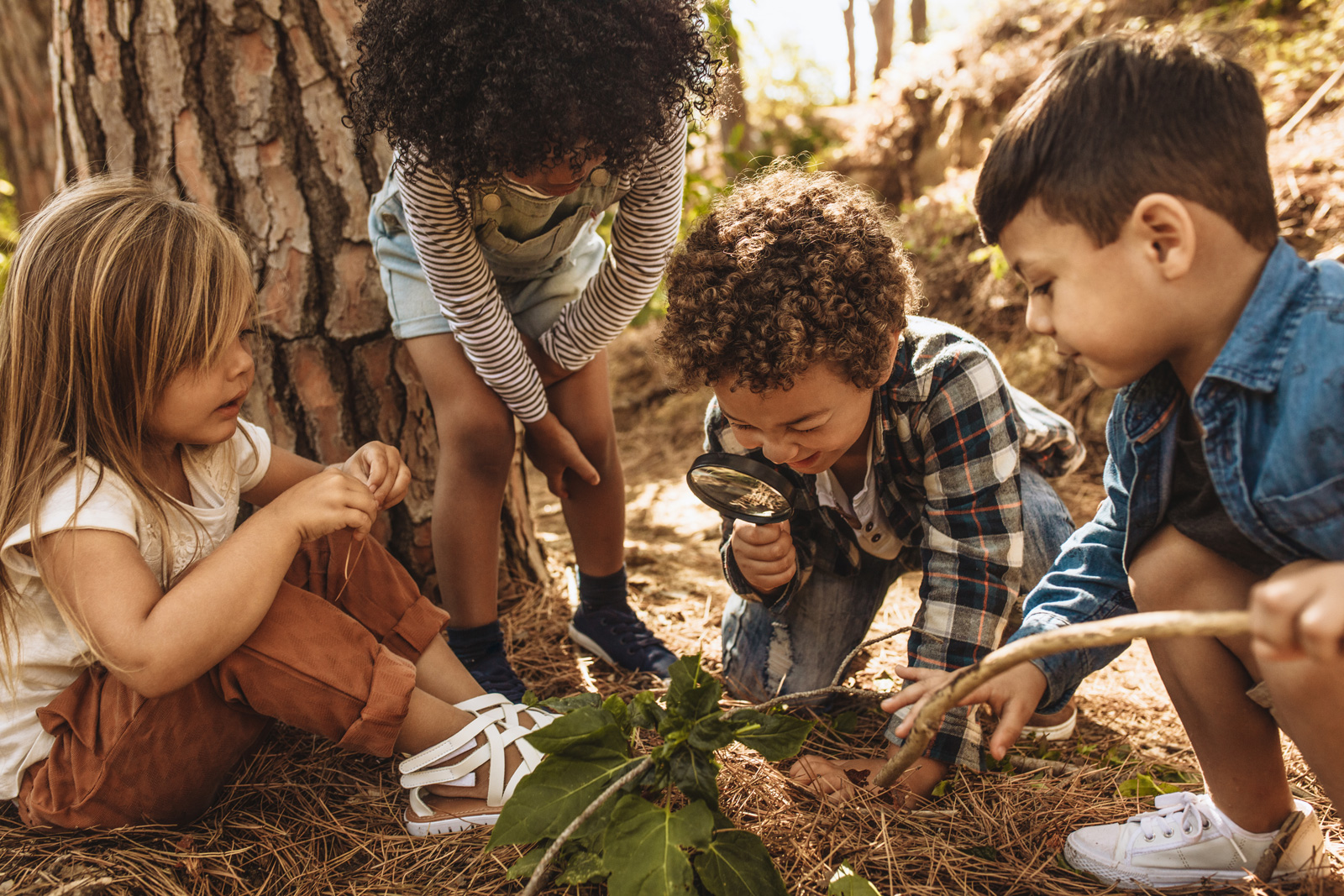 Kids go on a nature hunt in a park